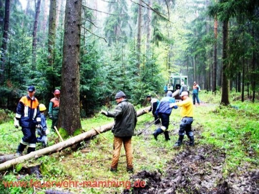 Foto zum Termin Maibaum holen