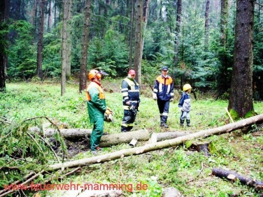 Foto zum Termin Maibaum holen