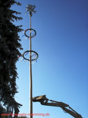 Foto zum Termin Maibaum-Aufstellen