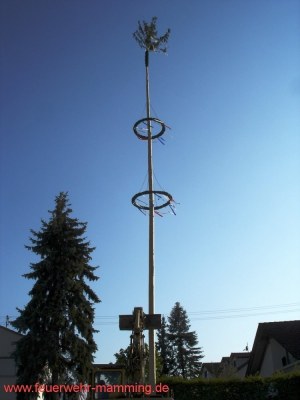 Foto zum Termin Maibaum-Aufstellen