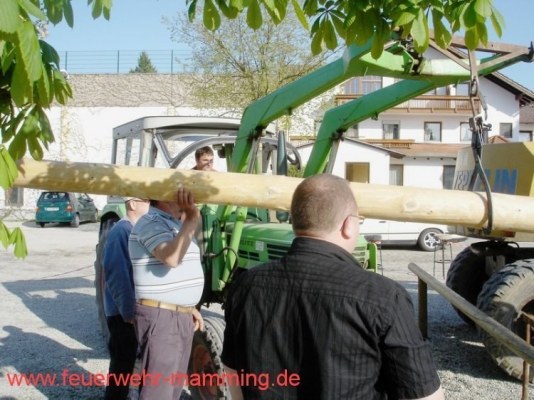 Foto zum Termin Maibaum-Aufstellen