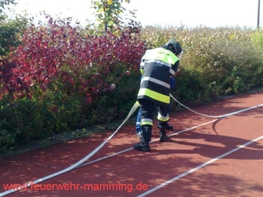 Foto zum Termin Jugendleistungsprüfung
