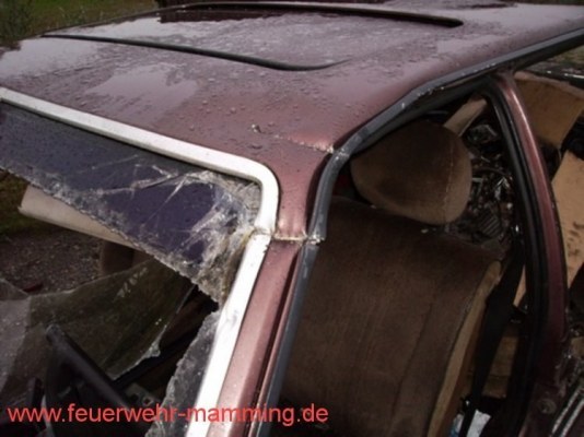 Foto zum Termin THL-Übung