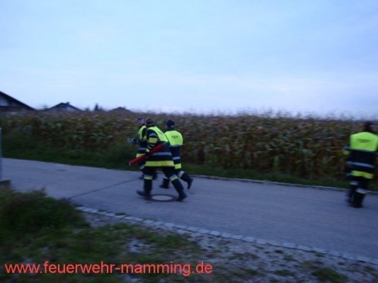 Foto zum Termin Leistungsprüfung
