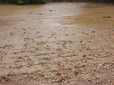 Einsatz vom 19.06.2009