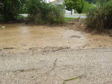 Einsatz vom 19.06.2009