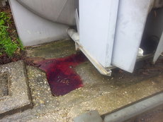 Einsatz vom 10.05.2013