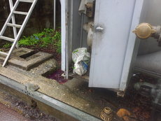 Einsatz vom 10.05.2013