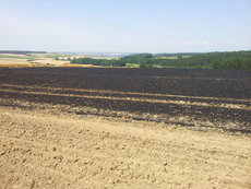Einsatz vom 04.08.2013