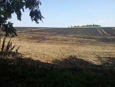Einsatz vom 04.08.2013