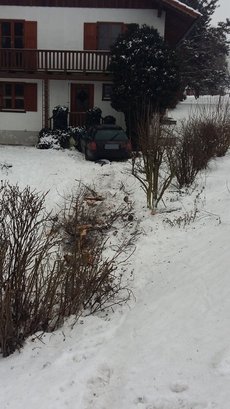 Einsatz vom 11.01.2017