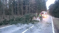 Einsatz vom 24.02.2017