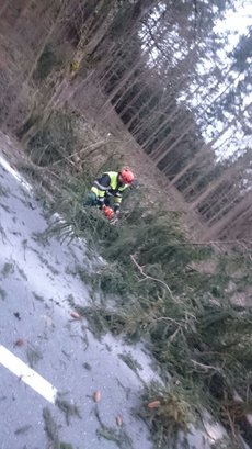 Einsatz vom 24.02.2017