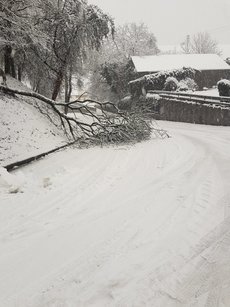 Einsatz vom 03.02.2019