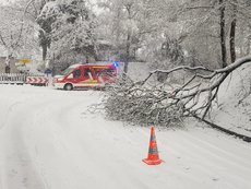 Einsatz vom 03.02.2019