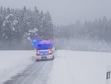 Einsatz vom 03.02.2019