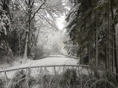 Einsatz vom 03.02.2019