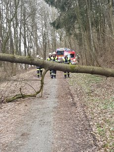 Einsatz vom 11.03.2019