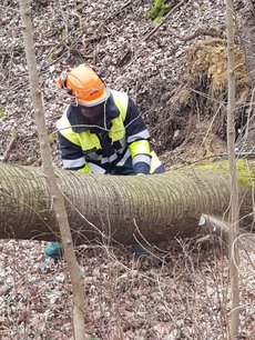 Einsatz vom 11.03.2019