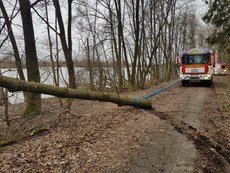 Einsatz vom 11.03.2019