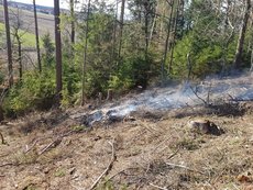 Einsatz vom 17.03.2019