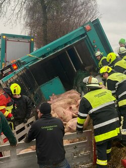 Einsatz vom 01.02.2024