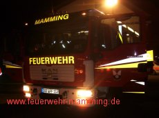 Einsatz vom 03.01.2009