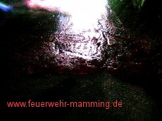 Einsatz vom 23.01.2009