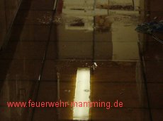 Einsatz vom 18.01.2009