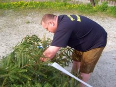 Maibaum einholen und aufstellen