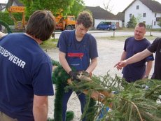 Maibaum einholen und aufstellen