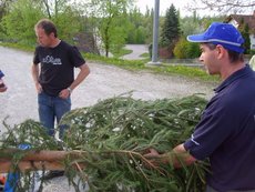 Maibaum einholen und aufstellen