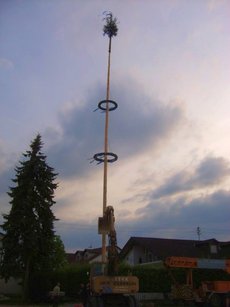 Maibaum einholen und aufstellen