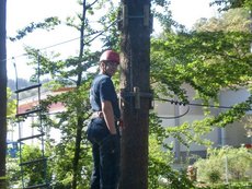 Ausflug Kletterwald