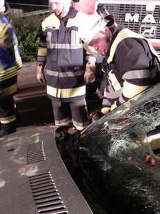 Einsatzübung mit der FF Pilsting