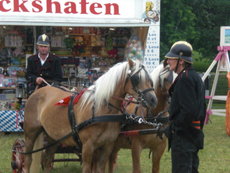 Fahnenweihe Perbing