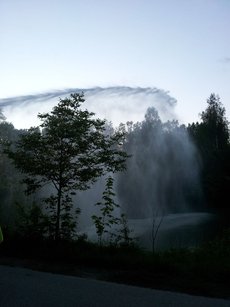Übung - PKW gegen Baum