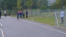 Jugendleistungsprüfung