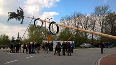 Maibaum aufstellen