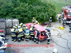 Gemeinschaftsübung THL mit FF Landau