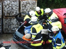 Gemeinschaftsübung THL mit FF Landau
