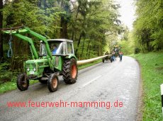Maibaum holen