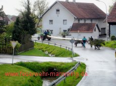 Maibaum holen