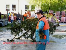 Maibaum holen