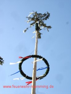 Maibaum-Aufstellen