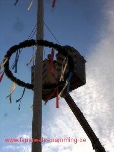 Maibaum-Aufstellen