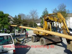 Maibaum-Aufstellen