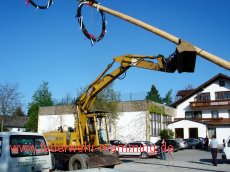 Maibaum-Aufstellen
