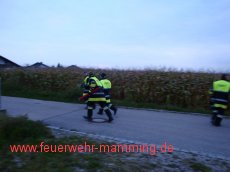 Leistungsprüfung