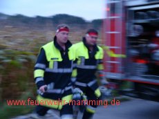 Leistungsprüfung